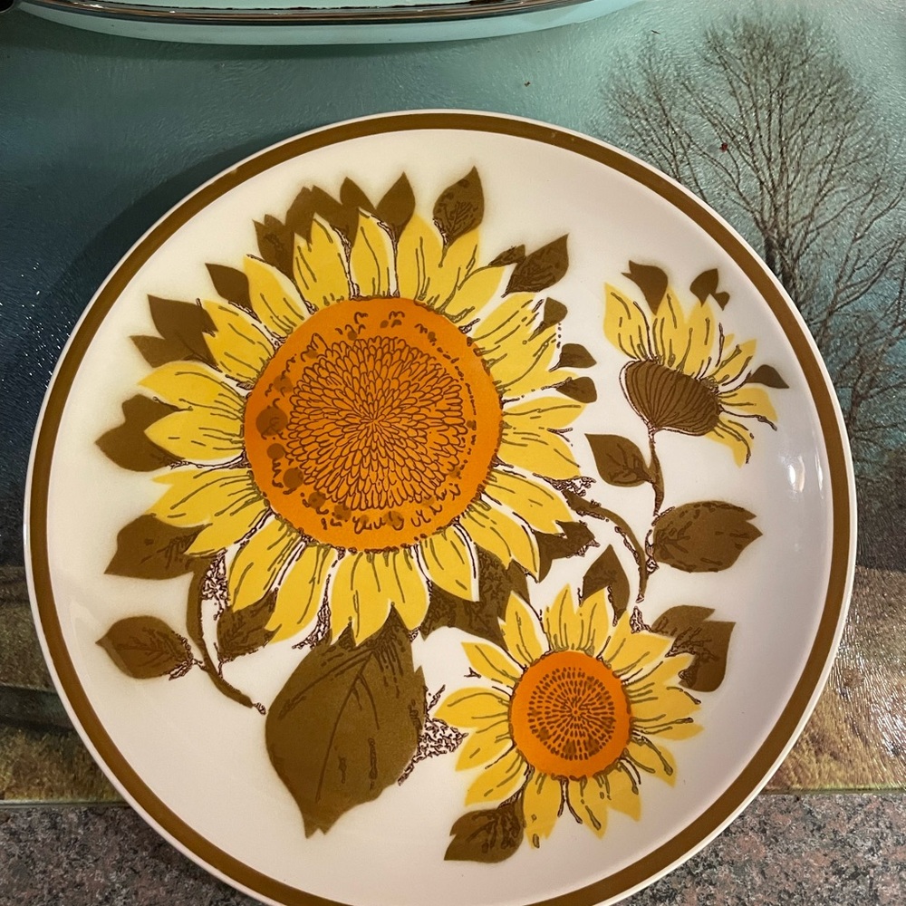 Set of 6 dinner plate Sunflower Mikasa « sun blaze »